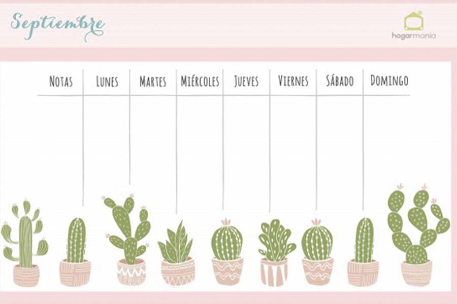 un calendario en tonos rosa y decorado con varios cactus 